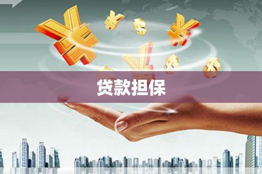 从化贷款担保