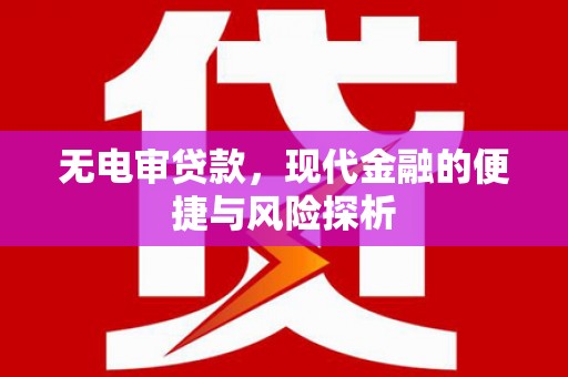 从化无电审贷款，现代金融的便捷与风险探析