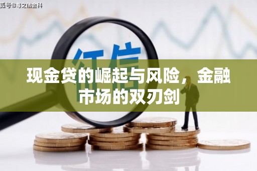 从化现金贷的崛起与风险，金融市场的双刃剑