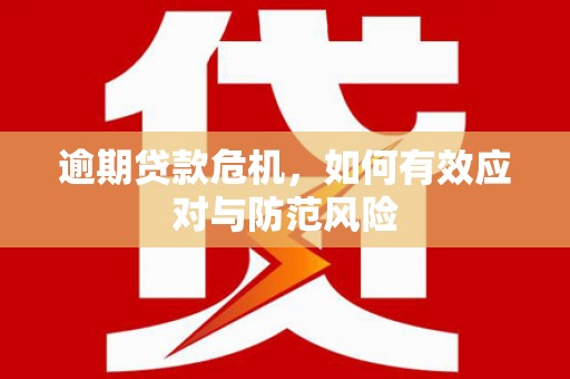从化逾期贷款危机，如何有效应对与防范风险