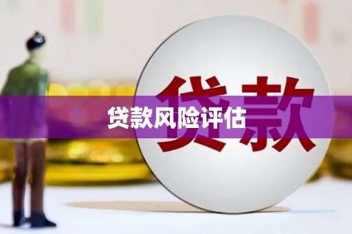 从化贷款风险评估