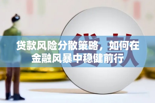 从化贷款风险分散策略，如何在金融风暴中稳健前行