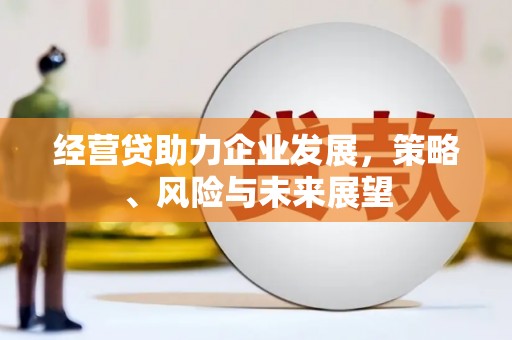 从化经营贷助力企业发展，策略、风险与未来展望