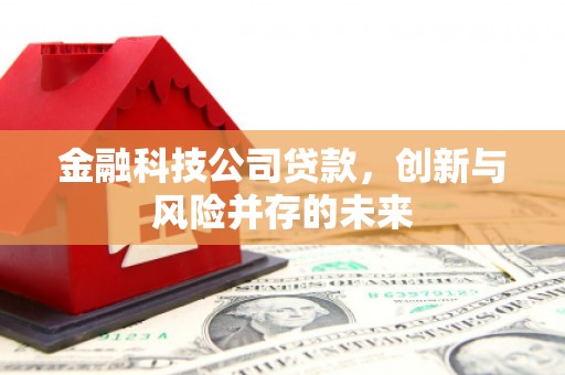 从化金融科技公司贷款，创新与风险并存的未来