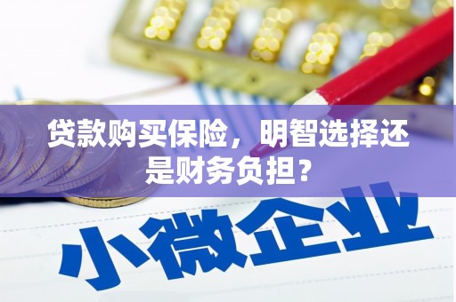 从化贷款购买保险，明智选择还是财务负担？