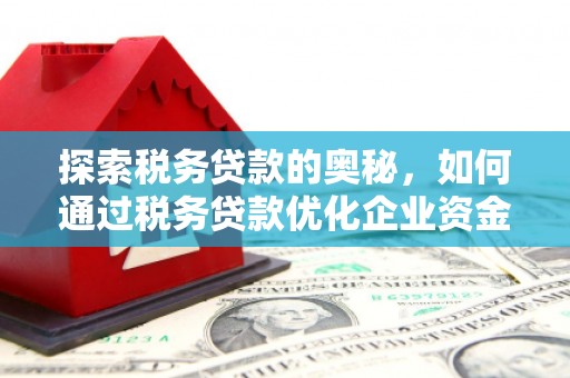 从化探索税务贷款的奥秘，如何通过税务贷款优化企业资金流