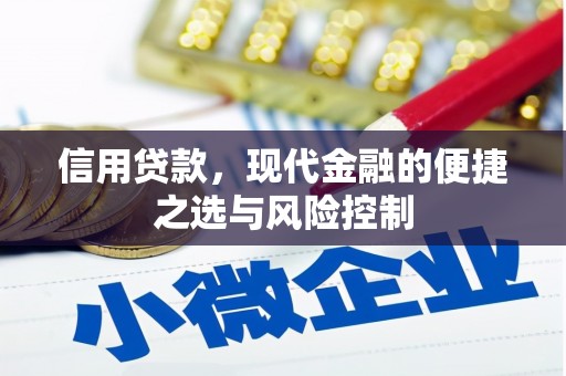 从化信用贷款，现代金融的便捷之选与风险控制