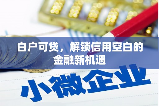 从化白户可贷，解锁信用空白的金融新机遇