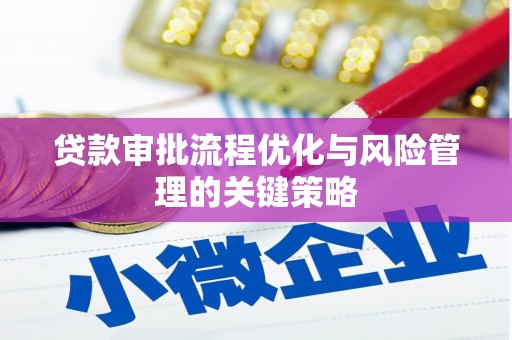 从化贷款审批流程优化与风险管理的关键策略