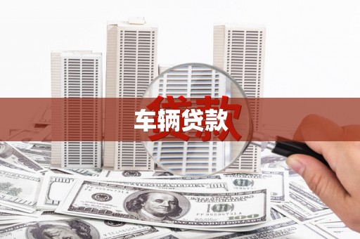 从化车辆贷款