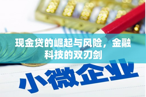 从化现金贷的崛起与风险，金融科技的双刃剑