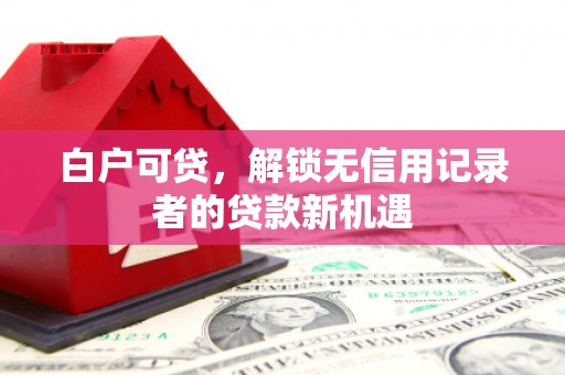 从化白户可贷，解锁无信用记录者的贷款新机遇