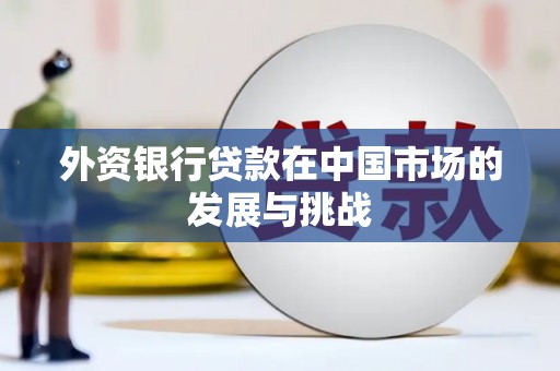 从化外资银行贷款在中国市场的发展与挑战