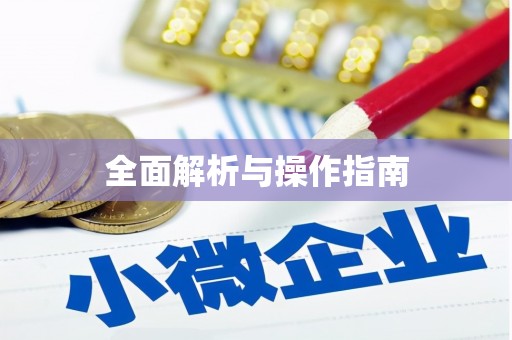 从化全面解析与操作指南