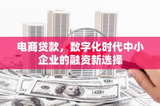 从化电商贷款，数字化时代中小企业的融资新选择