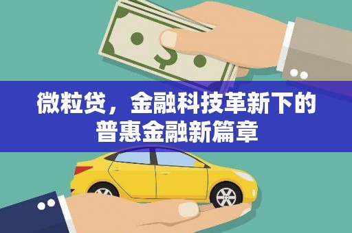 从化微粒贷，金融科技革新下的普惠金融新篇章