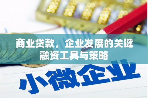从化商业贷款，企业发展的关键融资工具与策略