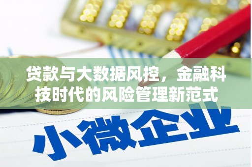 从化贷款与大数据风控，金融科技时代的风险管理新范式