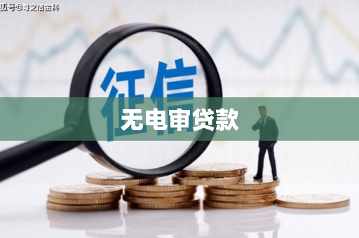 从化无电审贷款