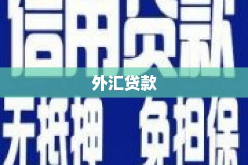 从化外汇贷款