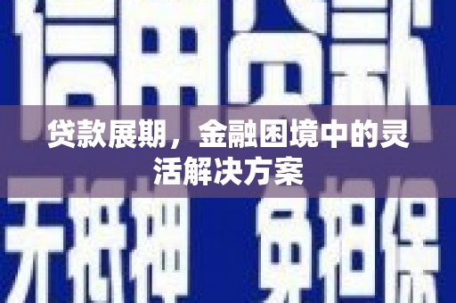 从化贷款展期，金融困境中的灵活解决方案