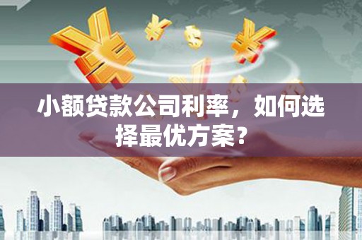 从化小额贷款公司利率，如何选择最优方案？