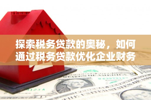 从化探索税务贷款的奥秘，如何通过税务贷款优化企业财务