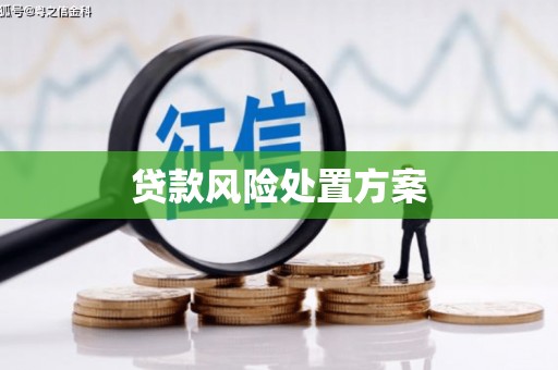 从化贷款风险处置方案