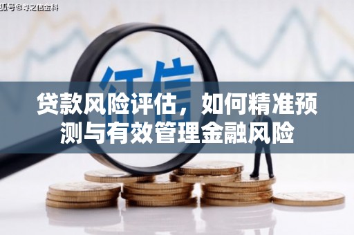 从化贷款风险评估，如何精准预测与有效管理金融风险