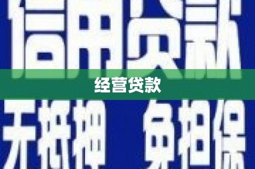从化经营贷款