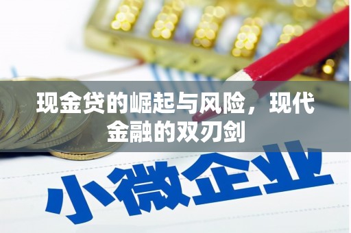 从化现金贷的崛起与风险，现代金融的双刃剑