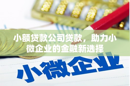 从化小额贷款公司贷款，助力小微企业的金融新选择