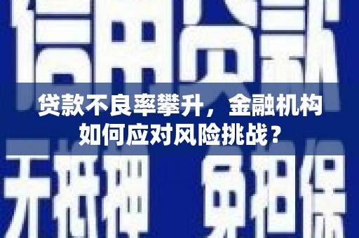 从化贷款不良率攀升，金融机构如何应对风险挑战？