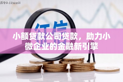 从化小额贷款公司贷款，助力小微企业的金融新引擎