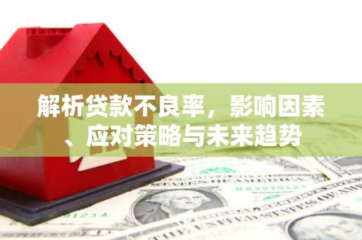 从化解析贷款不良率，影响因素、应对策略与未来趋势