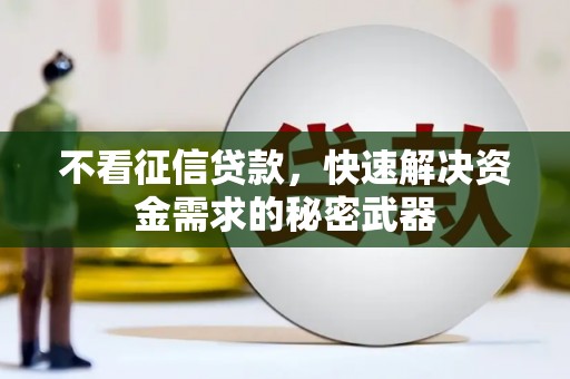 从化不看征信贷款，快速解决资金需求的秘密武器