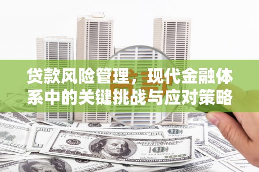 从化贷款风险管理，现代金融体系中的关键挑战与应对策略