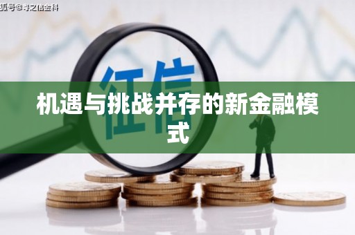 从化机遇与挑战并存的新金融模式