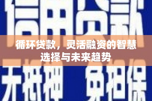从化循环贷款，灵活融资的智慧选择与未来趋势