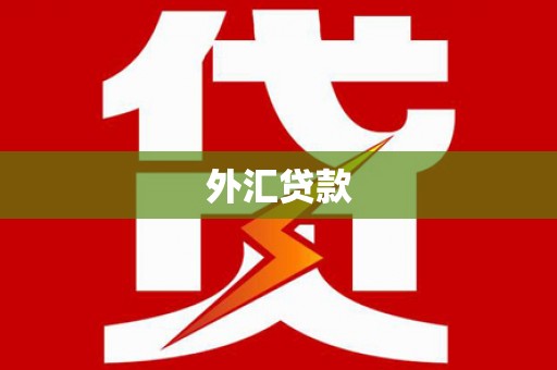 从化外汇贷款
