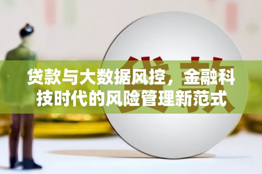 从化贷款与大数据风控，金融科技时代的风险管理新范式