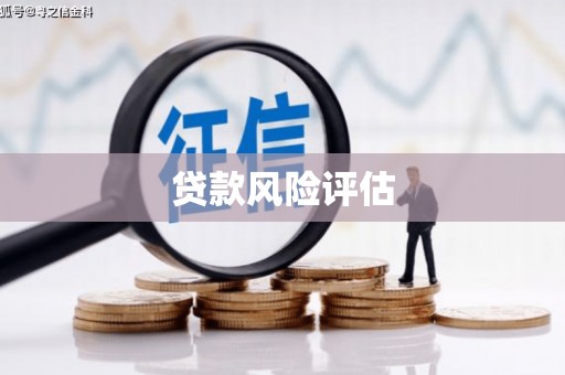 从化贷款风险评估