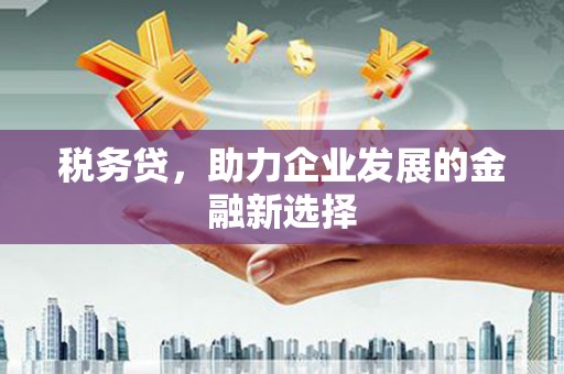 从化税务贷，助力企业发展的金融新选择