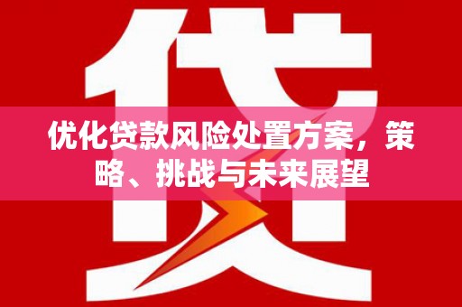 从化优化贷款风险处置方案，策略、挑战与未来展望