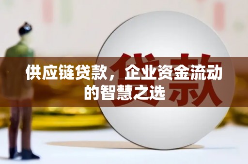 从化供应链贷款，企业资金流动的智慧之选