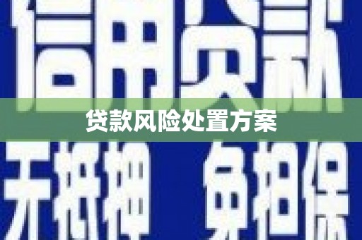 从化贷款风险处置方案