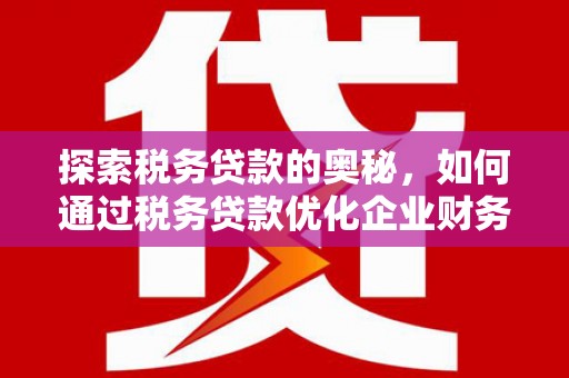 从化探索税务贷款的奥秘，如何通过税务贷款优化企业财务