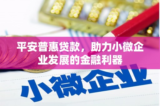 从化平安普惠贷款，助力小微企业发展的金融利器