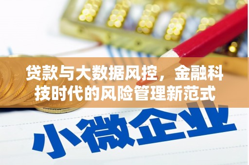 从化贷款与大数据风控，金融科技时代的风险管理新范式