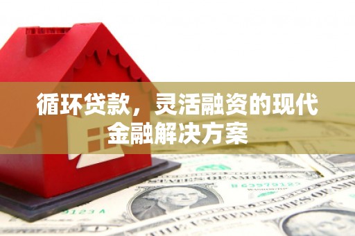 从化循环贷款，灵活融资的现代金融解决方案